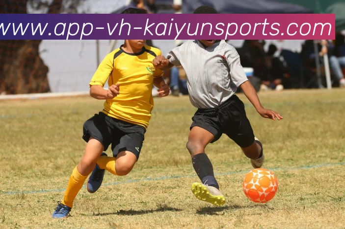 App Interface Preview